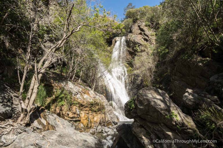 Salmon Creek Falls A Rugged Waterfall Hike in Big Sur California