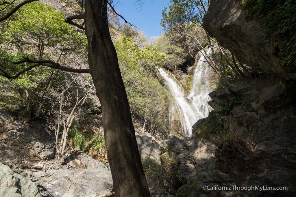 Salmon Creek Falls A Rugged Waterfall Hike in Big Sur California