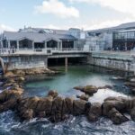 Monterey Bay Aquarium: One of the Best Aquariums in the World