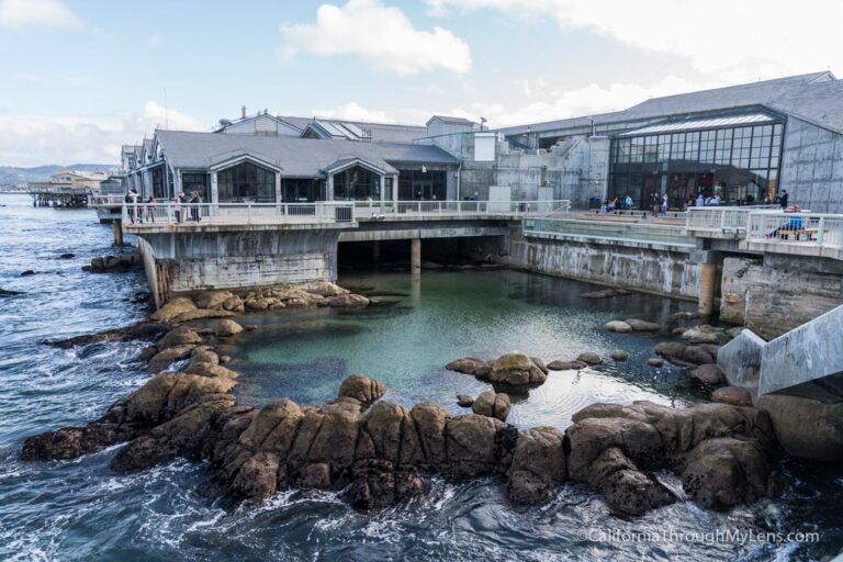 Monterey Bay Aquarium: One of the Best Aquariums in the World