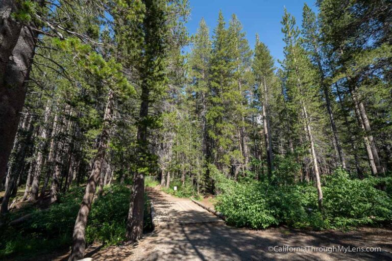 Mammoth Consolidated Mine Trail in Mammoth Lakes - California Through ...