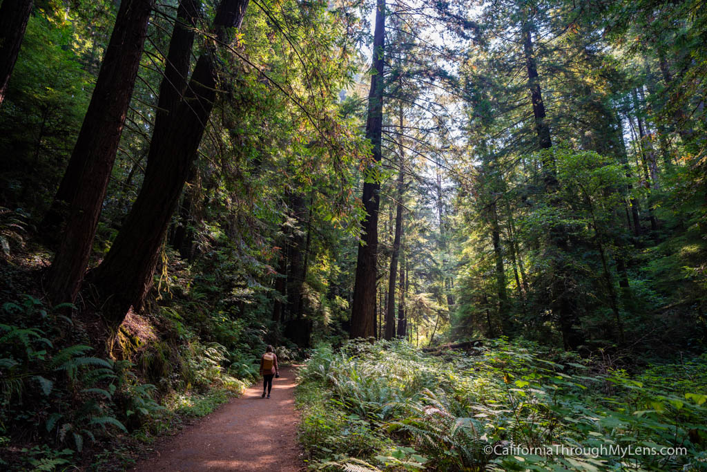 Russian River Gulch State Park Waterfall Trail - California Through My Lens