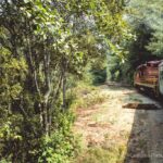 Riding the Skunk Train and Visiting the Model Train Museum in Fort Bragg