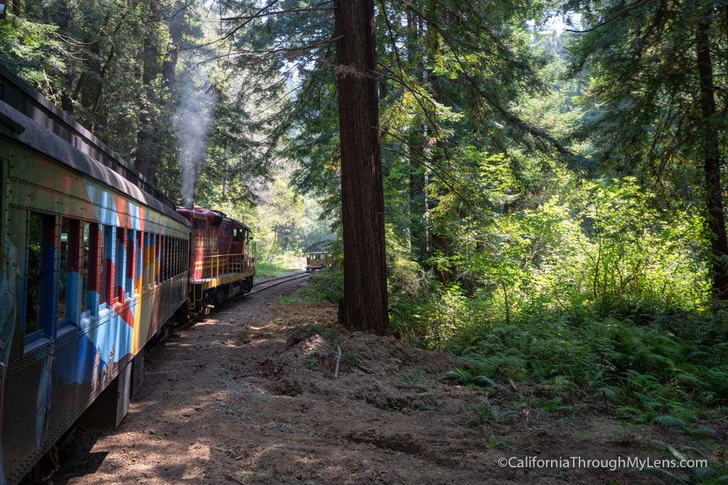 Skunk Train Ride Riding the Skunk Train and Visiting the Model Train Museum in Fort ...