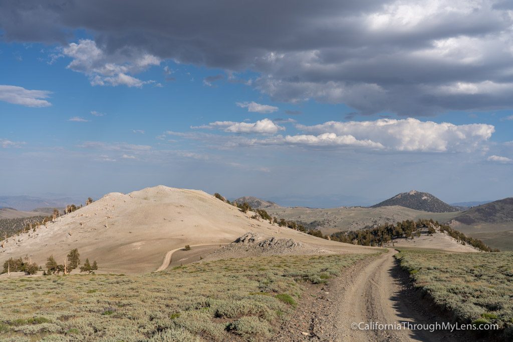 White mountain california weather