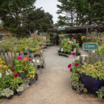Mendocino Botanical Gardens Near Fort Bragg