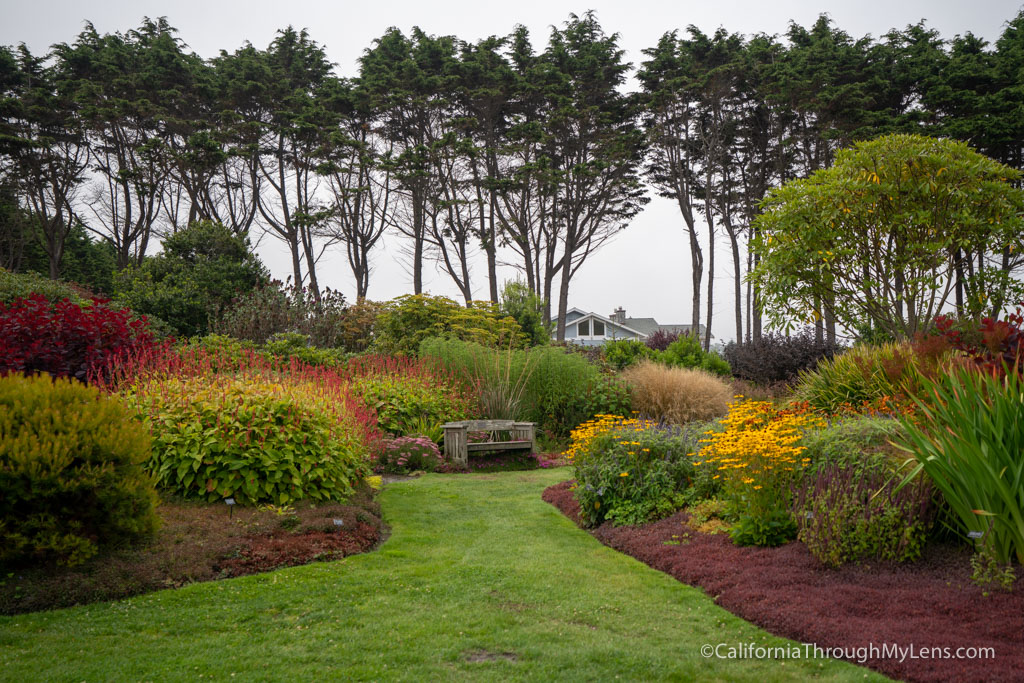 Mendocino Botanical Gardens Near Fort Bragg California Through My Lens