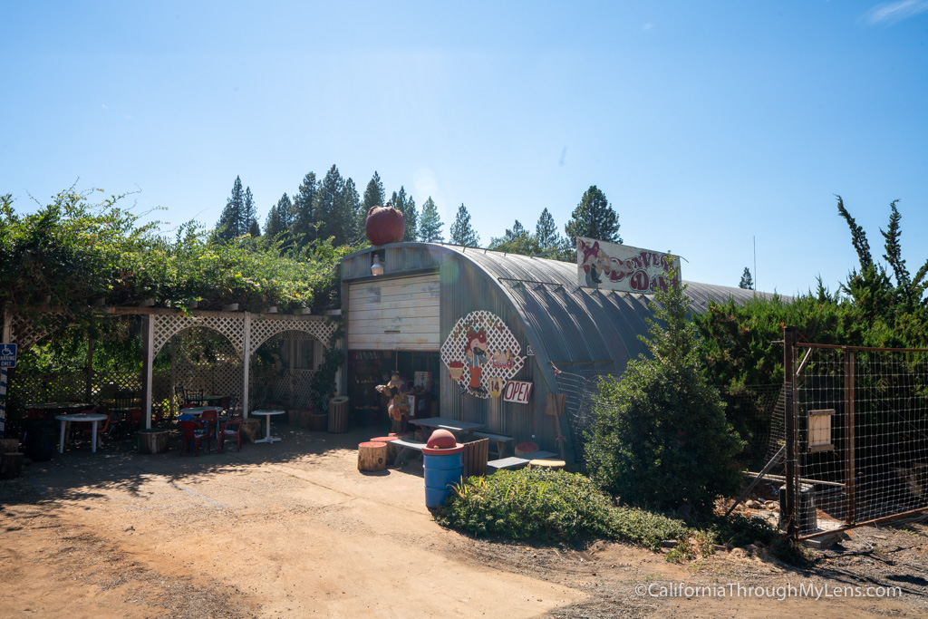 Apple Hill Four Spots to Visit in the Fall California Through My Lens