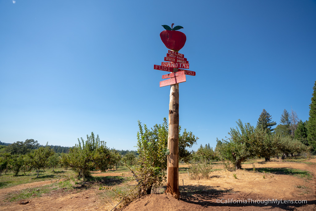 Apple Hill: Four Spots to Visit in the Fall California Through My Lens