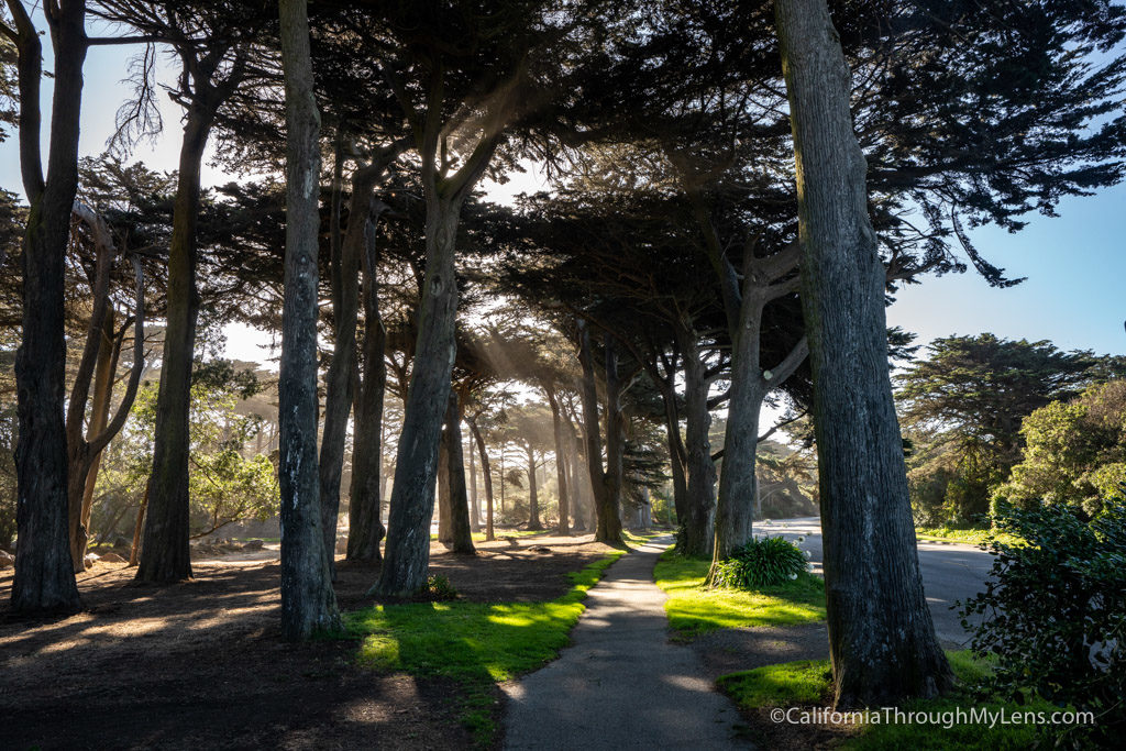 Golden Gate Park Explore of the Best Spots in San Francisco's Famous
