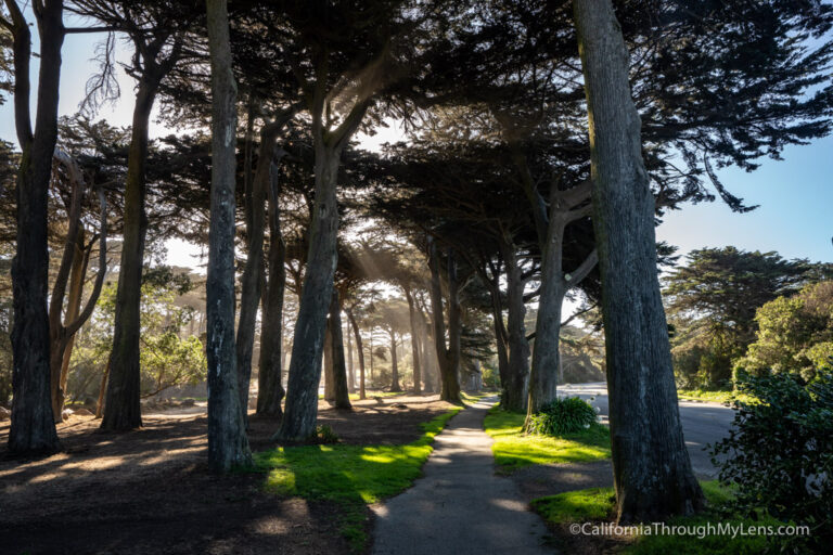 Golden Gate Park: Explore of the Best Spots in San Francisco’s Famous Park