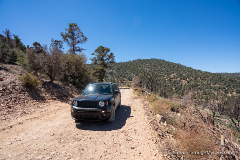 Big Bear’s Gold Fever Off Road Trail