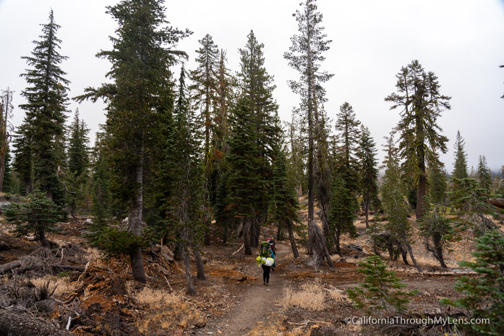 Backpacking in Lassen Volcanic National Park with Wild Beginnings ... - Lassen Backpacking 15