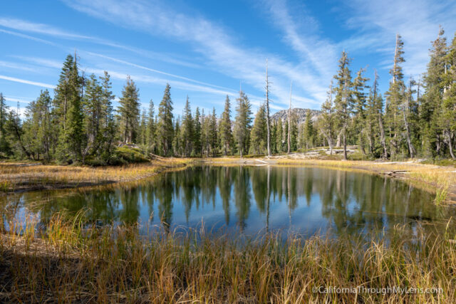 Lands End Trail: One of the Best Hikes in San Francisco