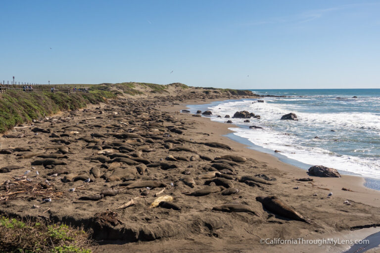 12 Things to do in Cambria: Restaurants, Hikes, Beaches & More ...