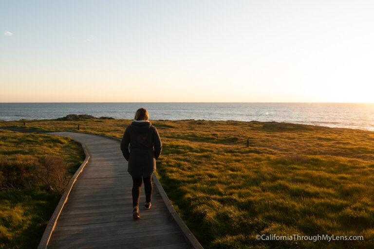12 Things to do in Cambria: Restaurants, Hikes, Beaches & More