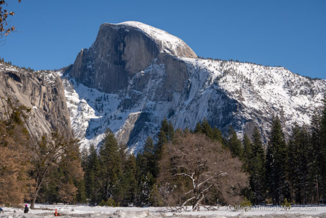 california travel advice