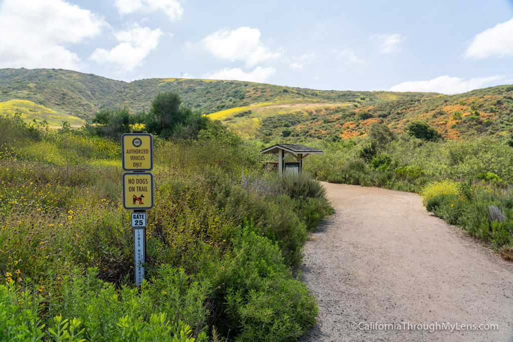 Crystal Cove State Park El Moro Loop Trail California Through My Lens
