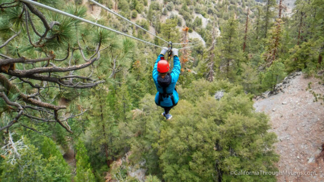 zipline tour san diego