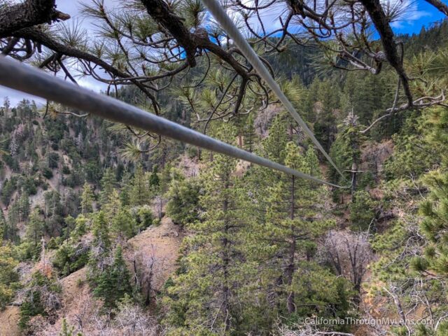 zipline tour san diego