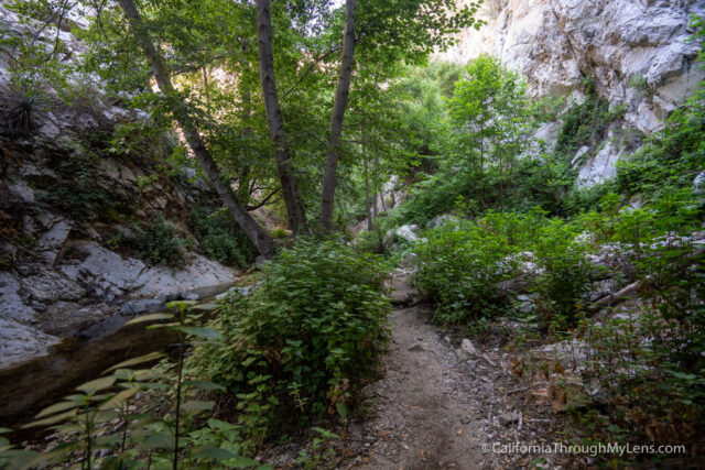 Switzer trail clearance camp