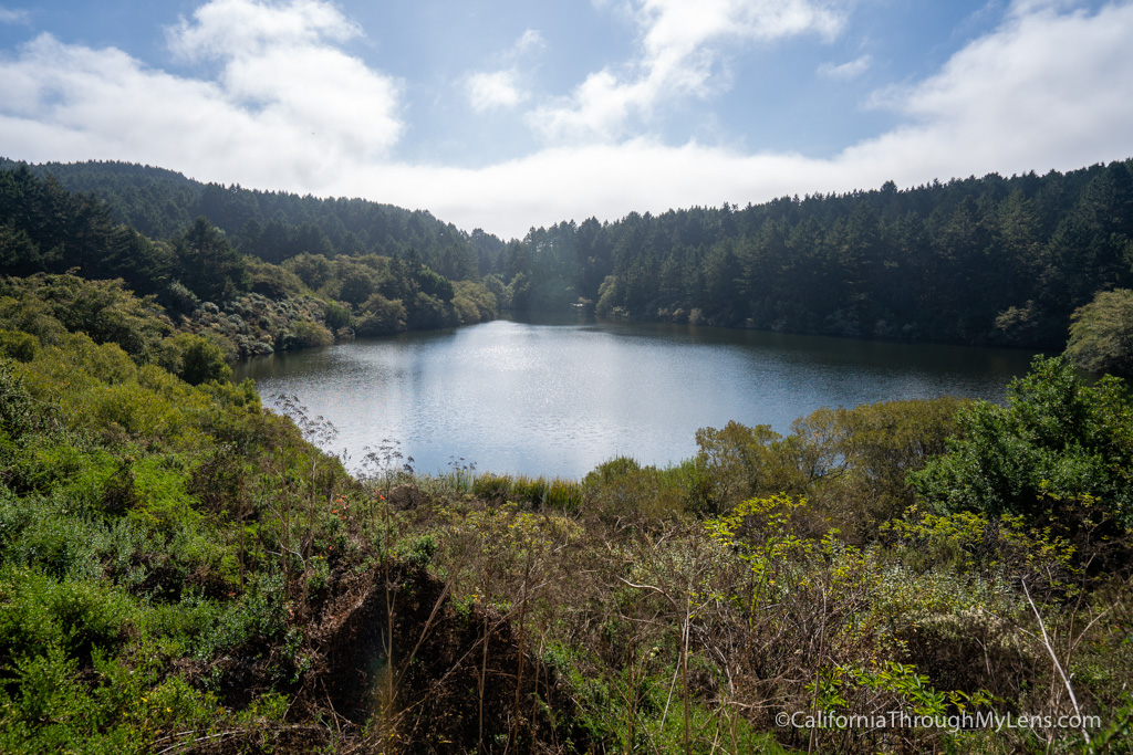 Alamere Falls Hike in Point Reyes National Seashore - California ...