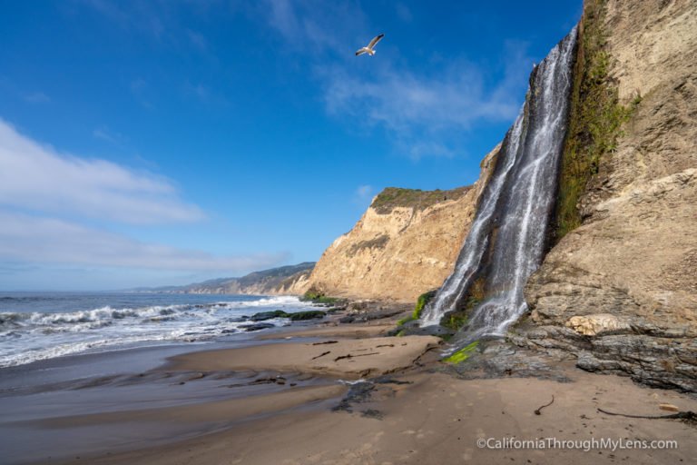 Alamere Falls Hike in Point Reyes National Seashore