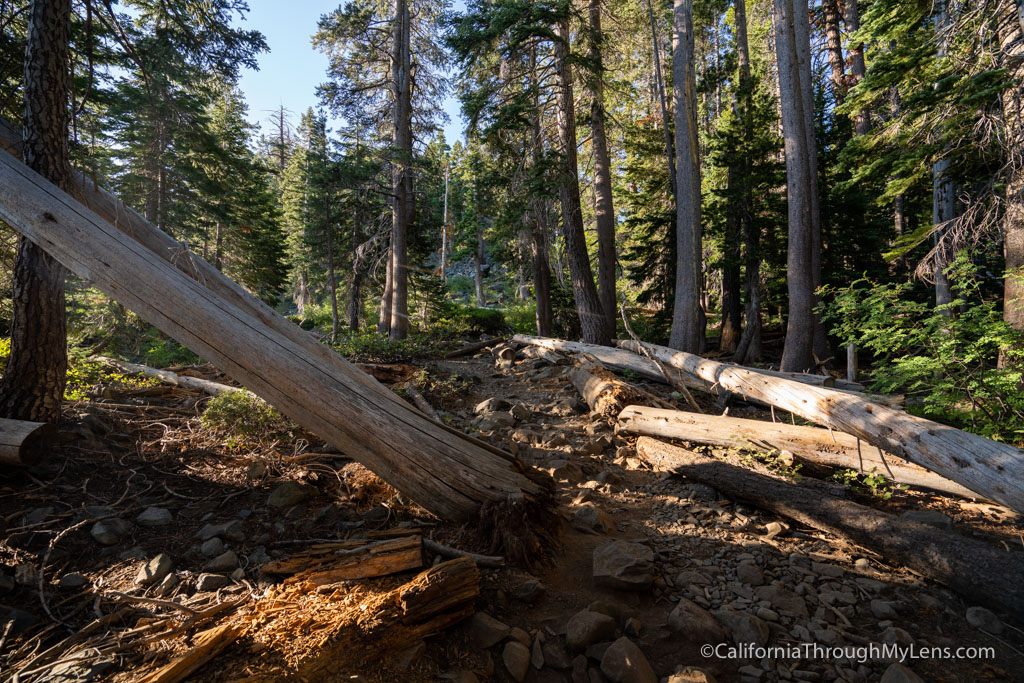 Hiking Mount Tallac Trail in South Lake Tahoe - California Through My Lens