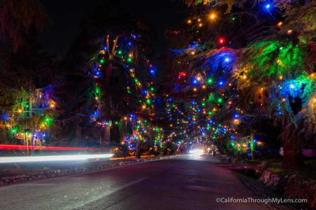 christmas tree lane altadena 2020 Christmas Tree Lane A Holiday Tradition In Altadena California Through My Lens christmas tree lane altadena 2020