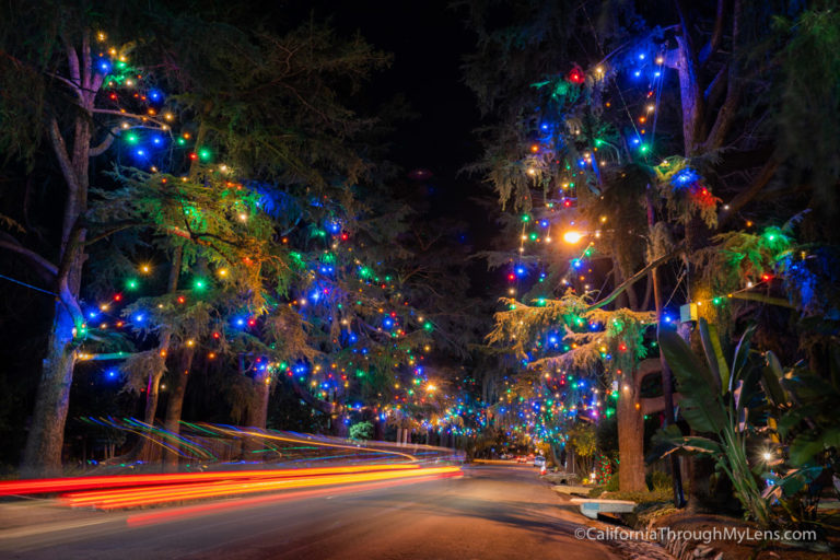 Christmas Tree Lane: A Holiday Tradition in Altadena
