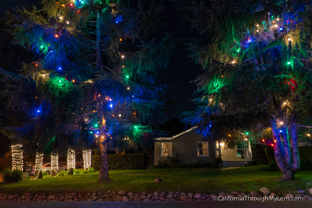 Christmas Tree Lane A Holiday Tradition in Altadena California
