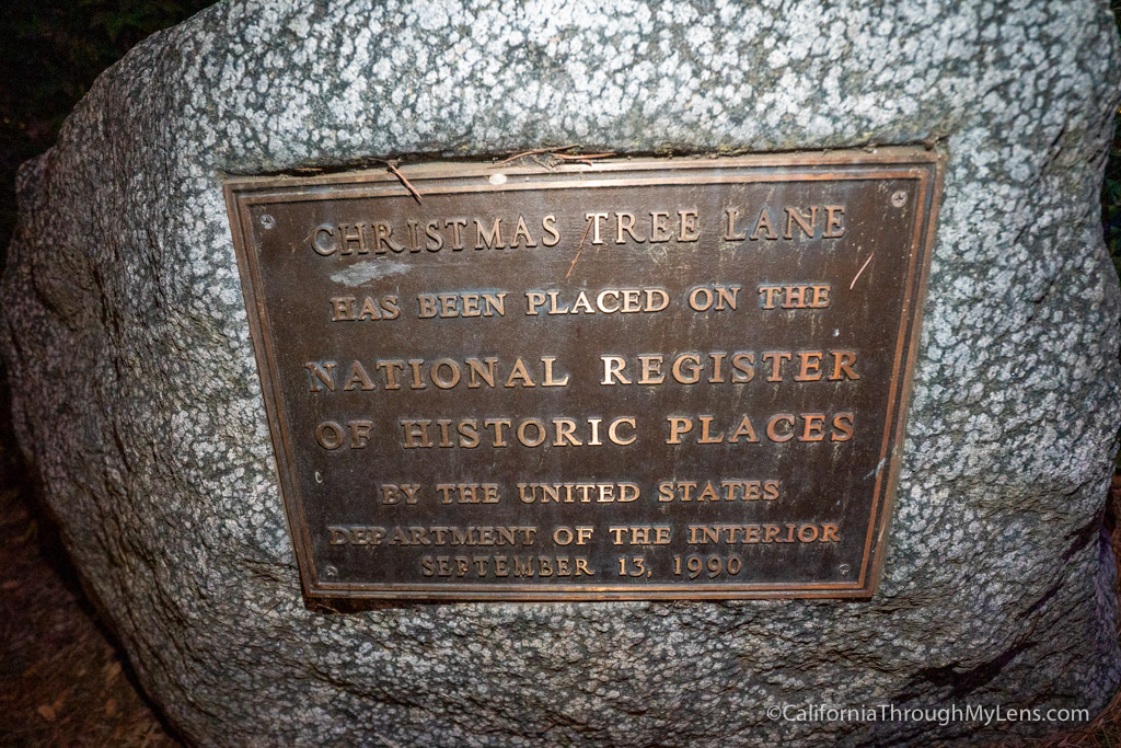 Christmas Tree Lane A Holiday Tradition in Altadena California