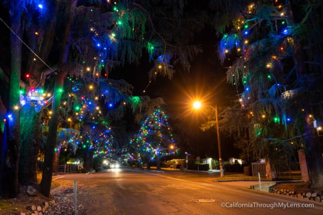 Christmas Tree Lane: A Holiday Tradition in Altadena - California Through My Lens
