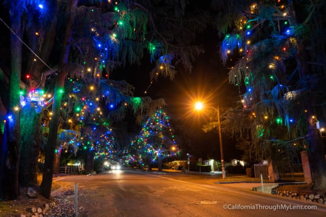 Christmas Tree Lane Pasadena 2021