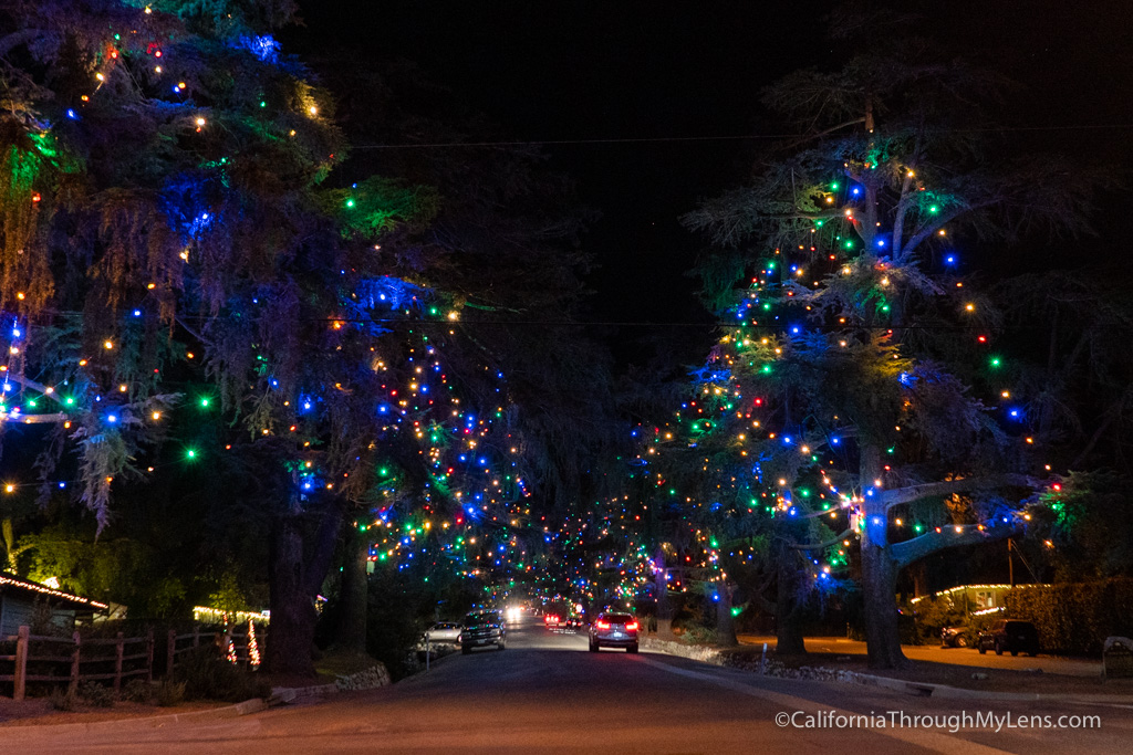 Christmas Tree Lane A Holiday Tradition in Altadena California