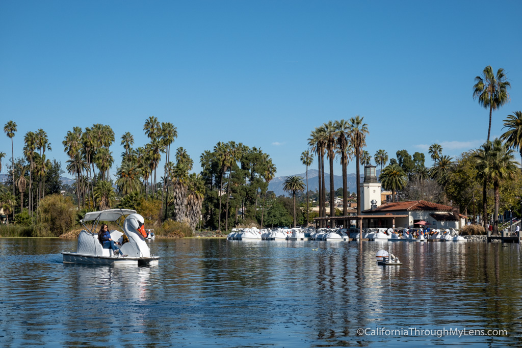 Echo Park Lake in Echo Park - Tours and Activities