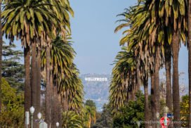 The Best Places to See & Photograph the Hollywood Sign - California ...