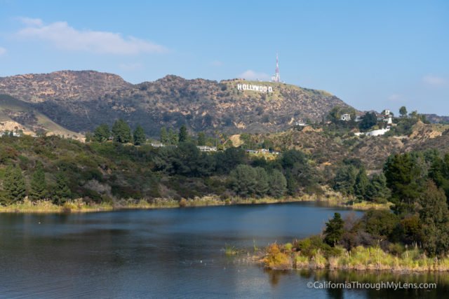 Discover the Best Views of the Hollywood Sign