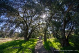 Hiking To Eagle Rock On The Pacific Crest Trail - California Through My ...