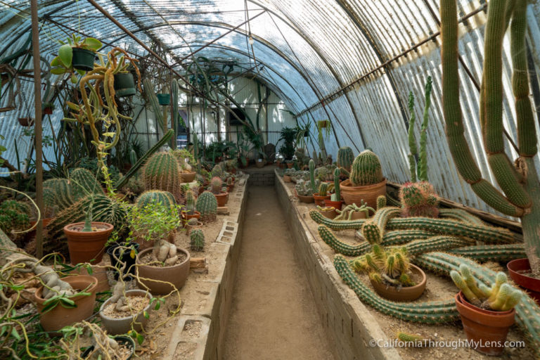 Moorten Botanical Garden: A Beautiful Desert Garden in Palm Springs