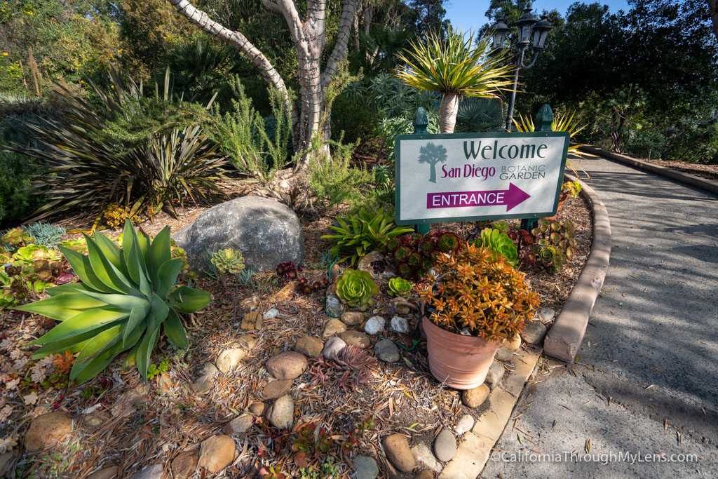 San Diego Botanic Garden In Encinitas - California Through My Lens