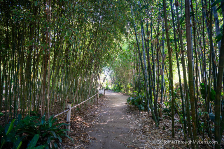 San Diego Botanic Garden in Encinitas