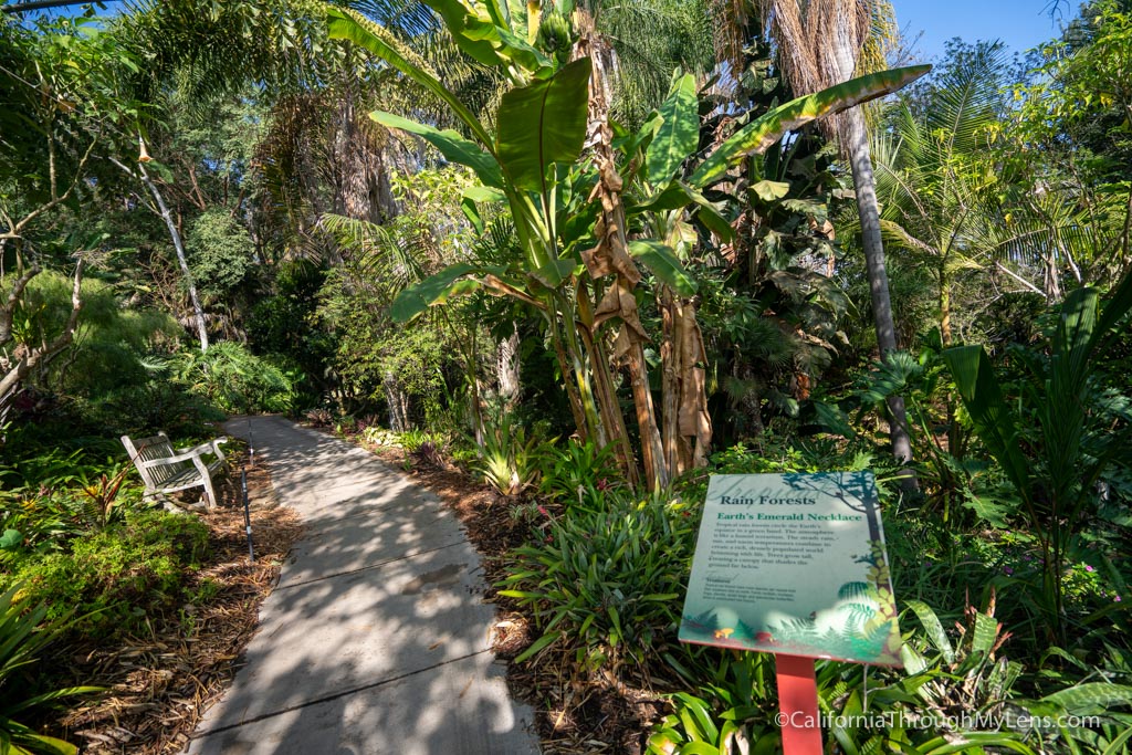 San Diego Botanic Garden In Encinitas - California Through My Lens