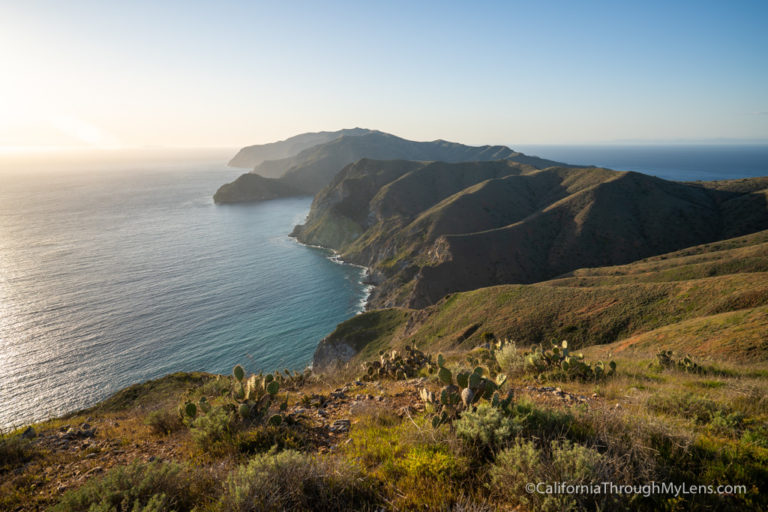 Trans Catalina Trail: 5 Days Hiking Across the Island of Catalina