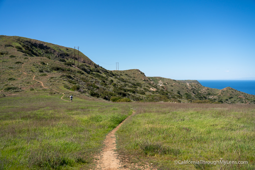 Trans Catalina Trail: 5 Days Hiking Across the Island of Catalina ...