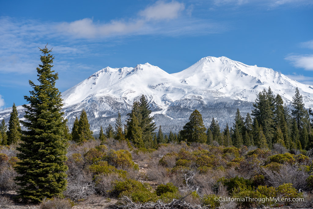 Mount Shasta Viewpoints: Seven Great Ways to See the Mountain ...