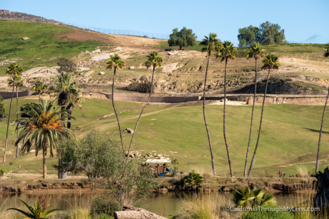 safari park escondido california