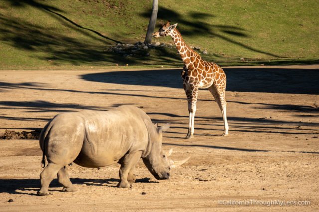 best safari park in california