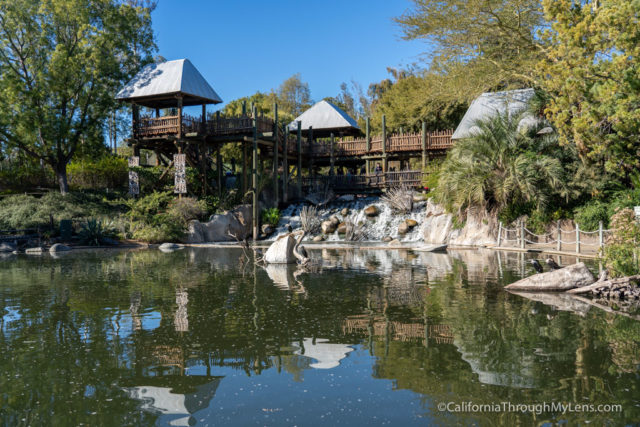 best safari park in california