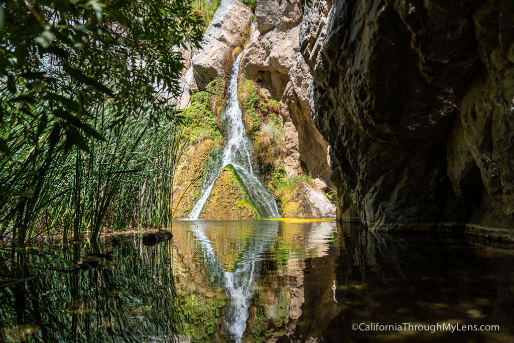 Darwin Falls: Hiking to Death Valley National Park’s Waterfall